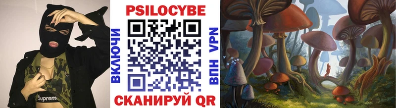Псилоцибиновые грибы Psilocybine cubensis  Новое Девяткино 